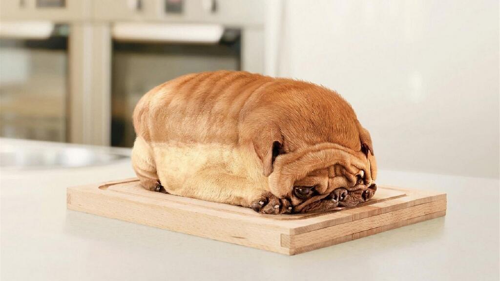 Effetti ottici: Un toast veramente bestiale