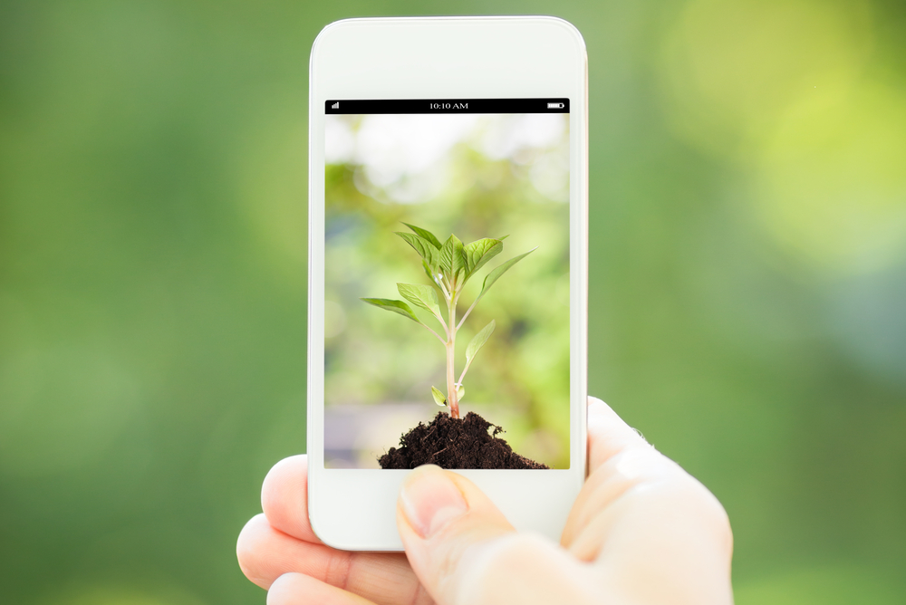 Smartphone, secondo uno studio sono i dispositivi più dannosi per l’ambiente