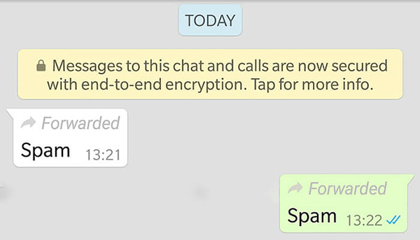 La nuova versione di WhatsApp sarà antispam e (si spera) anti fake news